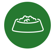 Pet Sitting In Medford - Contact Us Today! - Paws Up Pet Sitting